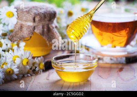 Süßer Frühlingshonig im Glas und kleine Glasschüssel mit einer Honigtaube. Komposition von aromatischem Honig auf dem Tisch mit frischen Kamillenblüten Stockfoto