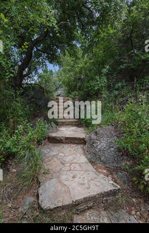 Eine Treppe aus Steintreppen führt einen Pfad hinauf in einen dichten, grünen Wald, der von Sonnenlicht mit einem geheimnisvollen Gefühl der verlorenen Welt hervorgehoben wird. Stockfoto
