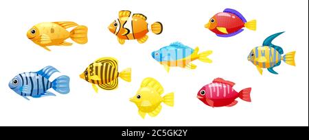 Set Cartoon Funny Fisch Vektor-Zeichen. Bunte Korallenriff tropische Fische Set Vektor-Illustration. Meeresfischsammlung isoliert auf weißem Hintergrund Stock Vektor
