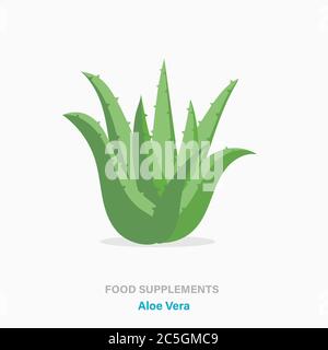 Vektor flach isoliert Symbol von Nahrungsergänzungsmitteln - Aloe Vera Pflanze Stock Vektor