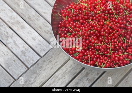 Schale mit frisch geernteten roten Johannisbeerenfrüchten auf Holztisch mit Kopierplatz Stockfoto