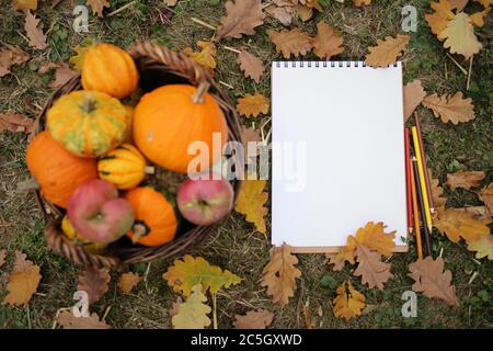 Herbst Mock up.Zurück zur Schule. Blank weißes Notizbuch und Farbstifte mit Herbstgelb Blätter und Kürbisse Set und Äpfel auf dem Rasen.Malerei Mock- Stockfoto