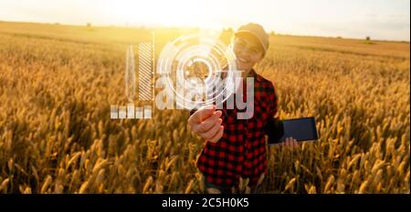 Eine Frau Bauer untersucht den Bereich der Getreide- und sendet die Daten an die Wolke aus der Tablette. Smart Farming und digitale Landwirtschaft. Stockfoto