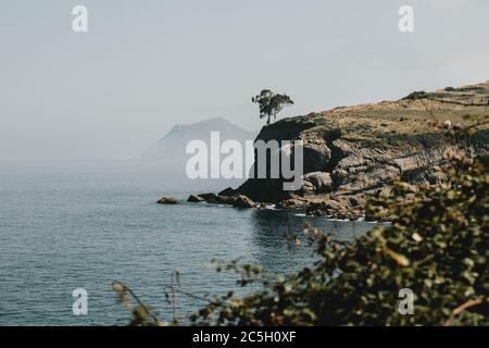 Ein paar Bäume stehen am Rande der Klippe über der Bucht von Biscaya während des Sommers Morgen mit blauem Himmel und Dunst über dem Horizont Stockfoto