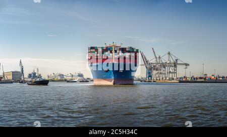 Containerriese beim Liegemanöver am Tollerort Kai in Hamburg Stockfoto