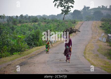 indische Frauen tragen Holzverzweigungen auf ihren Köpfen. Indisches Mädchen, das Holz auf dem Kopf auf der Straße trägt, eine indische ländliche Szene. Stockfoto