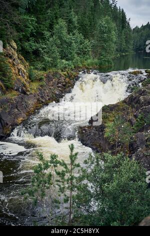 Kivach Falls, Karelien. Schöner Wasserfall in der wilden nördlichen Natur unter Nadelbäumen Stockfoto