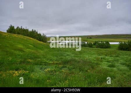 Sommernacht am Lagarfljot See in Ostisland Stockfoto