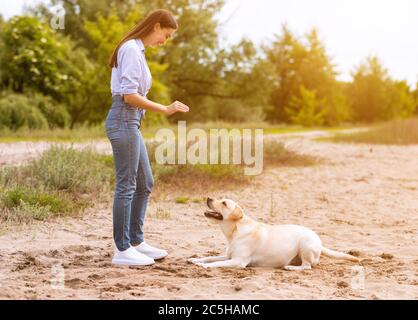 Frau, die ihrem gehorsamen labrador einen Befehl gibt Stockfoto