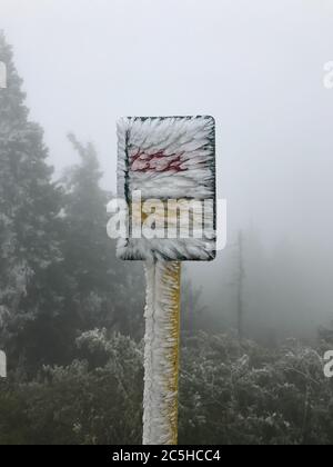 Während der morgendlichen Wanderung erfasst frischen Schnee auf dem Weg mit allen Bäumen und Schild voller Schnee überall bedeckt und Hintergrund ist von weißem Neuschnee bedeckt Stockfoto