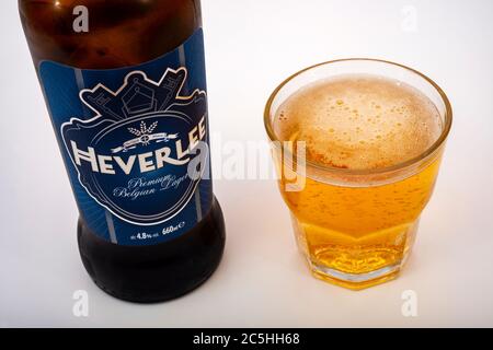 Heverlee Premium Belgischer Lager Stockfoto