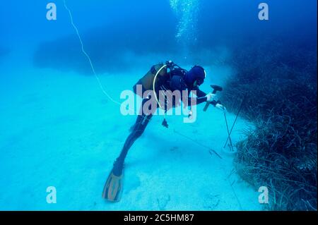 Meereswissenschaftler, die Seegras, Posidonia oceanica, Überwachungsstation in Kas-Kekova Marine Protected Area Antalya Türkei. Stockfoto