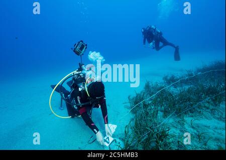 Meereswissenschaftler, die Seegras, Posidonia oceanica, Überwachungsstation in Kas-Kekova Marine Protected Area Antalya Türkei. Stockfoto