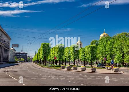 Grüner Park im Sommer in der Altstadt von Riga während Sonnenuntergang. Stockfoto