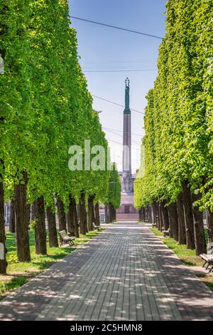 Grüner Park im Sommer in der Altstadt von Riga während Sonnenuntergang. Stockfoto