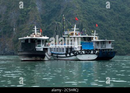 Ha Long Bay Vietnam, Gruppe von touristischen Kreuzfahrtschifs im Hafen festgemacht Stockfoto