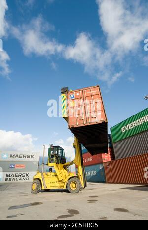 CVS Ferrari Containerhandler wird verwendet, um Transportcontainer in Manchester Euroterminal, Trafford Park, Manchester, England zu bewegen. Stockfoto