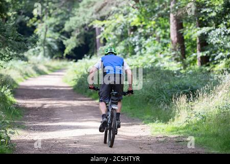 Limpsfield Chart, Surrey, 3. Juli 2020, EIN Mann auf einem Fahrrad genießt eine Woodland-Fahrt in Limpsfield Chart, Surrey. Die Wettervorhersage für heute ist 18C mit sonnigen Abständen eine mäßige Brise, dicke Wolke wird für das Wochenende prognostiziert.Quelle: Keith Larby/Alamy Live News Stockfoto