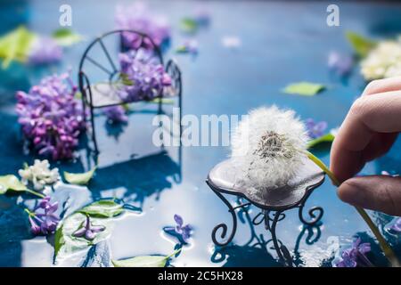 Florale Komposition. Flieder, Löwenzahn im Regen Stockfoto