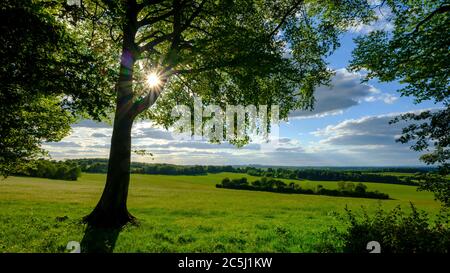 Warnford, Großbritannien - 12. Mai 2020: Der Blick nach Westen von Wheely Down bei Warnford im Meon Valley des South Downs National Park, Großbritannien Stockfoto