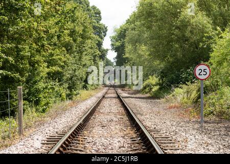 Flacher Fokus der in der Nähe Unkraut wächst zwischen den Eisenbahn Schläfer auf einer leeren, aber gebrauchten Bahnstrecke gesehen. Rechts ist eine Geschwindigkeitsbegrenzung von 25 km/h zu sehen. Stockfoto