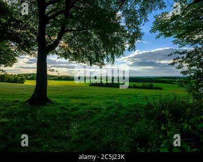 Warnford, Großbritannien - 12. Mai 2020: Der Blick nach Westen von Wheely Down bei Warnford im Meon Valley des South Downs National Park, Großbritannien Stockfoto