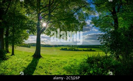 Warnford, Großbritannien - 12. Mai 2020: Der Blick nach Westen von Wheely Down bei Warnford im Meon Valley des South Downs National Park, Großbritannien Stockfoto