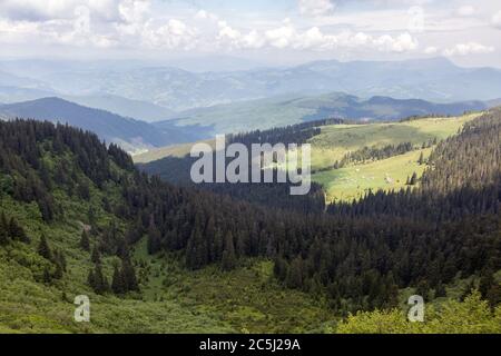 Blick auf ein kleines Dorf im Tal der Berge. Polonyna in den Karpaten, eine wunderbare Sommerlandschaft. Marmaroschtschyna, Maramures, Ukraine Stockfoto