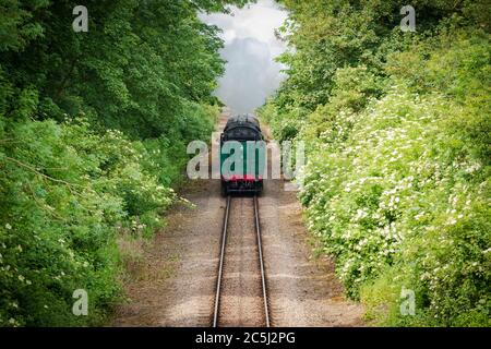 Schnell nähernde Vintage Dampflokomotive mit seinem Kohle-Tender gesehen Kopf zuerst. Stockfoto