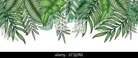 Dschungel Laub Muster mit grünen tropischen Blättern auf weißen, Hand gezeichnet nahtlose Grenze in tropischen Illustration Banner-Design Stockfoto