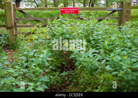 Isolierte Ansicht eines neu installierten Private Property Schild gesehen, die an einem Holz gebaut Wiese Tor. Überwuchert Nesseln können vor gesehen werden. Stockfoto