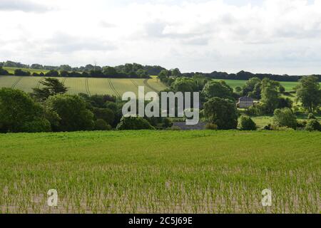 Ackerland und Felder von England im Sommer Stockfoto