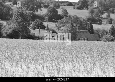 Ackerland und Felder von England im Sommer Stockfoto