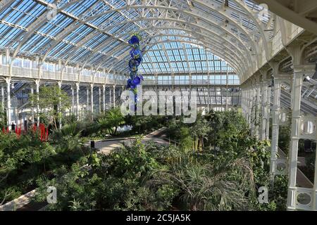 32 Kunstinstallationen wurden in den Gärten an einer Vielzahl von Orten aufgestellt. Als Besucher durch das Victoria Gate eindrangen, sahen sie den Sapphire Star, dessen einzelne Glasbläserformen nach außen strahlen, um ein himmlisches visuelles Erlebnis zu schaffen. Die leuchtend blaue Farbe von Sapphire Star ist in der Mitte hochkonzentriert, wo sich die einzelnen Glaselemente treffen und zunehmend undurchsichtig werden. Die lichtdurchlässigen, achromatischen Spitzen des Kunstwerks reflektieren Licht und verleihen ihm eine intensive Ausstrahlung. Chihuly's Arbeit wurde in mehr als 240 Museen auf der ganzen Welt in seiner 50-jährigen Karriere ausgestellt. Stockfoto