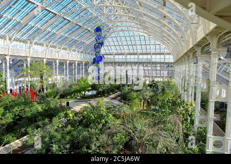 32 Kunstinstallationen wurden in den Gärten an einer Vielzahl von Orten aufgestellt. Als Besucher durch das Victoria Gate eindrangen, sahen sie den Sapphire Star, dessen einzelne Glasbläserformen nach außen strahlen, um ein himmlisches visuelles Erlebnis zu schaffen. Die leuchtend blaue Farbe von Sapphire Star ist in der Mitte hochkonzentriert, wo sich die einzelnen Glaselemente treffen und zunehmend undurchsichtig werden. Die lichtdurchlässigen, achromatischen Spitzen des Kunstwerks reflektieren Licht und verleihen ihm eine intensive Ausstrahlung. Chihuly's Arbeit wurde in mehr als 240 Museen auf der ganzen Welt in seiner 50-jährigen Karriere ausgestellt. Stockfoto