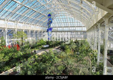 32 Kunstinstallationen wurden in den Gärten an einer Vielzahl von Orten aufgestellt. Als Besucher durch das Victoria Gate eindrangen, sahen sie den Sapphire Star, dessen einzelne Glasbläserformen nach außen strahlen, um ein himmlisches visuelles Erlebnis zu schaffen. Die leuchtend blaue Farbe von Sapphire Star ist in der Mitte hochkonzentriert, wo sich die einzelnen Glaselemente treffen und zunehmend undurchsichtig werden. Die lichtdurchlässigen, achromatischen Spitzen des Kunstwerks reflektieren Licht und verleihen ihm eine intensive Ausstrahlung. Chihuly's Arbeit wurde in mehr als 240 Museen auf der ganzen Welt in seiner 50-jährigen Karriere ausgestellt. Stockfoto