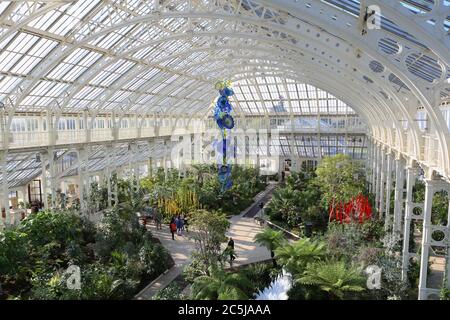 32 Kunstinstallationen wurden in den Gärten an einer Vielzahl von Orten aufgestellt. Als Besucher durch das Victoria Gate eindrangen, sahen sie den Sapphire Star, dessen einzelne Glasbläserformen nach außen strahlen, um ein himmlisches visuelles Erlebnis zu schaffen. Die leuchtend blaue Farbe von Sapphire Star ist in der Mitte hochkonzentriert, wo sich die einzelnen Glaselemente treffen und zunehmend undurchsichtig werden. Die lichtdurchlässigen, achromatischen Spitzen des Kunstwerks reflektieren Licht und verleihen ihm eine intensive Ausstrahlung. Chihuly's Arbeit wurde in mehr als 240 Museen auf der ganzen Welt in seiner 50-jährigen Karriere ausgestellt. Stockfoto