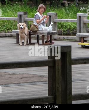 Ältere Frau mit Hund im Yoyogi Park, Tokio, Japan Stockfoto