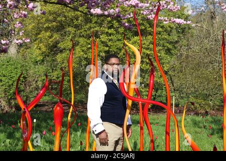 32 Kunstinstallationen wurden in den Gärten an einer Vielzahl von Orten aufgestellt. Als Besucher durch das Victoria Gate eindrangen, sahen sie den Sapphire Star, dessen einzelne Glasbläserformen nach außen strahlen, um ein himmlisches visuelles Erlebnis zu schaffen. Die leuchtend blaue Farbe von Sapphire Star ist in der Mitte hochkonzentriert, wo sich die einzelnen Glaselemente treffen und zunehmend undurchsichtig werden. Die lichtdurchlässigen, achromatischen Spitzen des Kunstwerks reflektieren Licht und verleihen ihm eine intensive Ausstrahlung. Chihuly's Arbeit wurde in mehr als 240 Museen auf der ganzen Welt in seiner 50-jährigen Karriere ausgestellt. Stockfoto