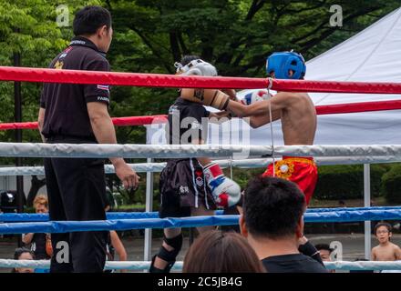 Junge Muay Thai Kämpfer in einem Ring während des jährlichen Thai Festival im Yoyogi Park, Tokio, Japan statt Stockfoto