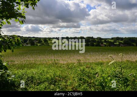 Ackerland und Felder von England im Sommer Stockfoto