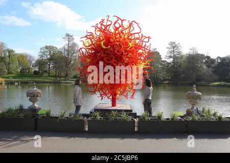 32 Kunstinstallationen wurden in den Gärten an einer Vielzahl von Orten aufgestellt. Als Besucher durch das Victoria Gate eindrangen, sahen sie den Sapphire Star, dessen einzelne Glasbläserformen nach außen strahlen, um ein himmlisches visuelles Erlebnis zu schaffen. Die leuchtend blaue Farbe von Sapphire Star ist in der Mitte hochkonzentriert, wo sich die einzelnen Glaselemente treffen und zunehmend undurchsichtig werden. Die lichtdurchlässigen, achromatischen Spitzen des Kunstwerks reflektieren Licht und verleihen ihm eine intensive Ausstrahlung. Chihuly's Arbeit wurde in mehr als 240 Museen auf der ganzen Welt in seiner 50-jährigen Karriere ausgestellt. Stockfoto