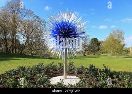 32 Kunstinstallationen wurden in den Gärten an einer Vielzahl von Orten aufgestellt. Als Besucher durch das Victoria Gate eindrangen, sahen sie den Sapphire Star, dessen einzelne Glasbläserformen nach außen strahlen, um ein himmlisches visuelles Erlebnis zu schaffen. Die leuchtend blaue Farbe von Sapphire Star ist in der Mitte hochkonzentriert, wo sich die einzelnen Glaselemente treffen und zunehmend undurchsichtig werden. Die lichtdurchlässigen, achromatischen Spitzen des Kunstwerks reflektieren Licht und verleihen ihm eine intensive Ausstrahlung. Chihuly's Arbeit wurde in mehr als 240 Museen auf der ganzen Welt in seiner 50-jährigen Karriere ausgestellt. Stockfoto