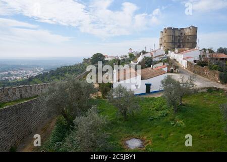 Evoramonte Stadtburg Wand historische Gebäude und Olivenbäume Park in Alentejo, Portugal Stockfoto