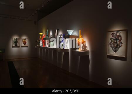 32 Kunstinstallationen wurden in den Gärten an einer Vielzahl von Orten aufgestellt. Als Besucher durch das Victoria Gate eindrangen, sahen sie den Sapphire Star, dessen einzelne Glasbläserformen nach außen strahlen, um ein himmlisches visuelles Erlebnis zu schaffen. Die leuchtend blaue Farbe von Sapphire Star ist in der Mitte hochkonzentriert, wo sich die einzelnen Glaselemente treffen und zunehmend undurchsichtig werden. Die lichtdurchlässigen, achromatischen Spitzen des Kunstwerks reflektieren Licht und verleihen ihm eine intensive Ausstrahlung. Chihuly's Arbeit wurde in mehr als 240 Museen auf der ganzen Welt in seiner 50-jährigen Karriere ausgestellt. Stockfoto