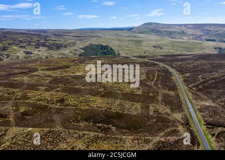 Langholm Moor: Es wurde ein Gemeinschaftskauf eingerichtet und hofft, das Land von Buccleuch Estates zu erwerben, um das Tarras Valley Nature Reserve zu schaffen. Stockfoto