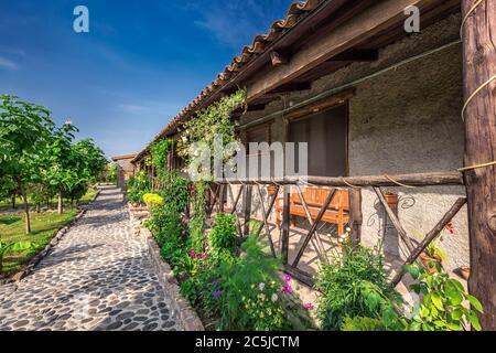 Weinberge von Ost-Georgien Weinland mit einer Scheune im Hintergrund. Stockfoto