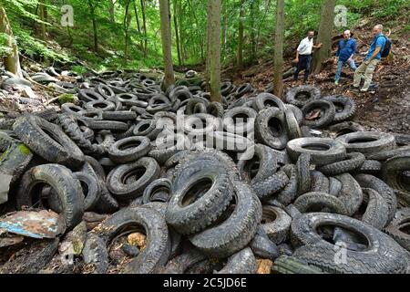 Schorba, Deutschland. Juli 2020. Olaf Möller (l, Bündnis90/die Grünen), Staatssekretär für Umwelt Thüringens, und zwei Weggefährten besuchen eine kontaminierte Deponie mit rund 1500 Reifen. Im Leutra-Tal hat man mit der Räumung der Deponie für gebrauchte Reifen begonnen, die im Staat bekannt ist. Die Kosten betragen ca. 50,000 Euro. Das Ministerium erklärte, dass die Waldfläche seit Mitte der 1950er Jahre als wilde Deponie genutzt wurde. Quelle: Martin Schutt/dpa/Alamy Live News Stockfoto