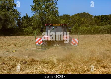 Hay Harvest Juni 2020 UK roten Traktor, Drehen Heu in Vorbereitung, um es zu ballen, blauer Himmel schönen sonnigen Tag. Machen Heu, während die Sonne scheint. Hampshire UK Stockfoto