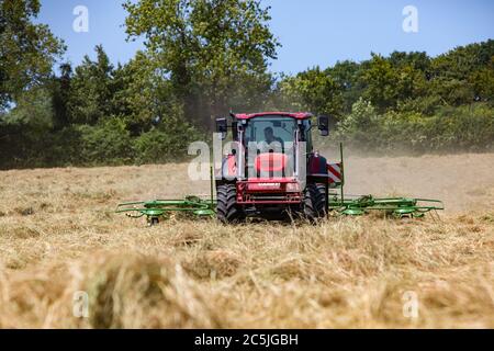 Hay Harvest Juni 2020 UK roten Traktor, Drehen Heu in Vorbereitung, um es zu ballen, blauer Himmel schönen sonnigen Tag. Machen Heu, während die Sonne scheint. Hampshire UK Stockfoto